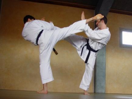 Karateka de la Crişul s-au remarcat la întrecerile Cupei Keghmester de la Budapesta